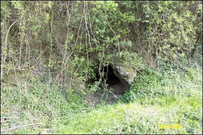 Tu as décidé de devenir guérisseur. 
Mais un jour, tu verses, sans le faire exprès, de la bile de souris sur ton pelage.
Que fais-tu ?