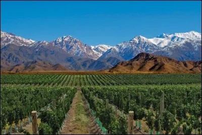 Dans quel pays aurez-vous la chance de visiter Mendoza ?