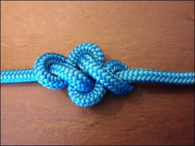 Le mot commence par Ali :