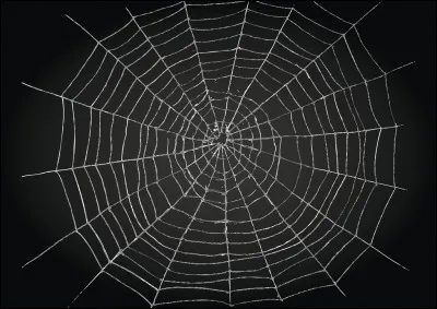 Que signifient les trois lettres "www" ?