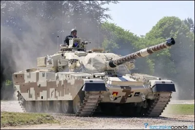 Quel est ce type de véhicule ?