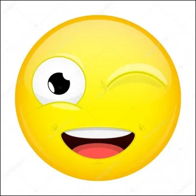 Quel est ton meilleur ami ?