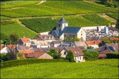 Village viticole du Grand-Est, Mailly-Champagne se situe dans le département ...