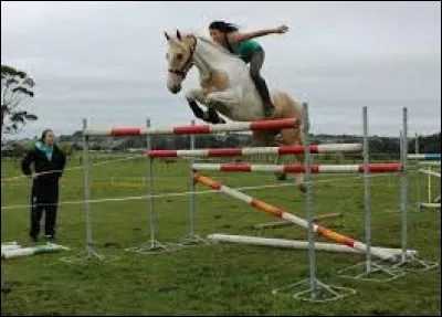 Quelle est la hauteur du plus haut saut d'obstacle sauté à cru ?