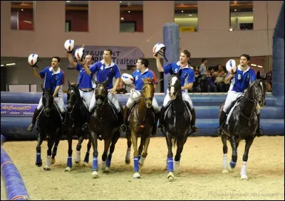 Combien de fois l'équipe de France de horse-ball a-t-elle gagné le championnat d'Europe ? (2018)