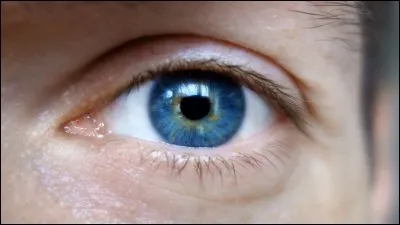 Enfin, tes yeux sont...