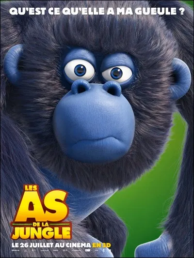 Quel est le degré d'intelligence de Miguel ?