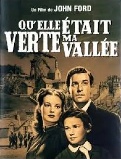 Dans "Qu'elle était verte ma vallée", comment le petit garçon se nomme-t-il de son vrai nom ?