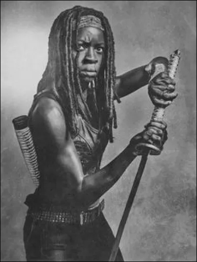 Dans les comics de Robert Kirkman, de quoi Michonne est-elle probablement souffrante ?