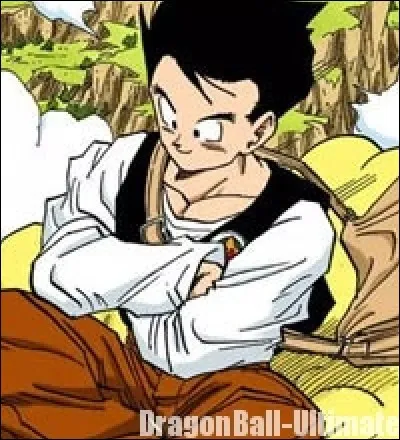 Quel &acirc;ge avait Sangohan au d&eacute;but de la saga Boo ?