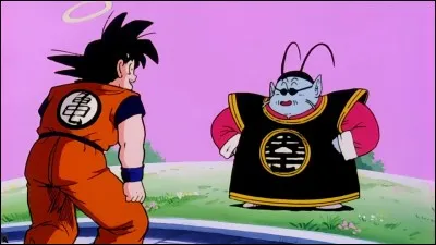 D'apr&egrave;s Kaio, &agrave; quoi &eacute;quivaut son entra&icirc;nement de 6 mois ?