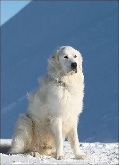 Le mot commence par Ga :