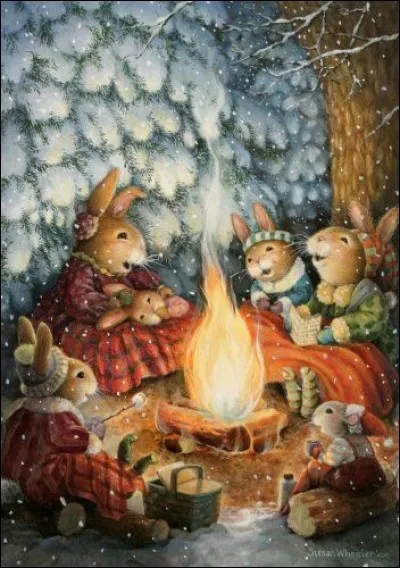 Où sont les lapins ?