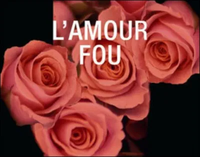Dans la chanson "L'amour fou", des amoureux fous donneraient tout pour :
