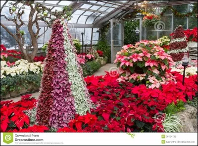 Dans la chanson "Mon cur te dit je t'aime", que voit-il s'ouvrir en découvrant l'absence de sa bien-aimée et le vide immense créé par cette absence ?