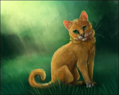 Qui est cette chatte guérisseuse du Clan de l'Ombre et fille de Pelage Fauve et Pelage d'Or ?