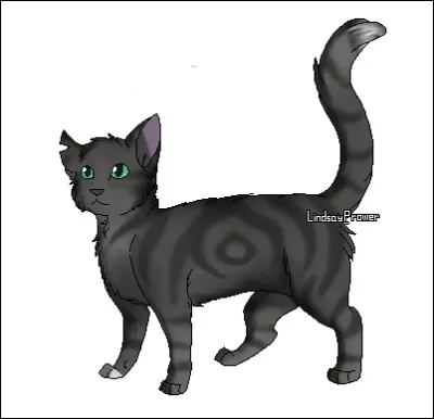 Qui est ce chat du Clan de l'Ombre au pelage gris tigré, une patte avant et le bout de la queue blancs, yeux verts et une oreille déchirée ?