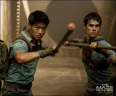 Dans quelle section Thomas et Minho trouvent-ils la sortie du labyrinthe ?