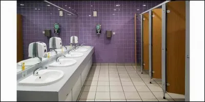 Une fille a &eacute;t&eacute; photographi&eacute;e alors qu'elle &eacute;tait dans les toilettes. Les &eacute;l&egrave;ves responsables font diffuser la photo compromettante sur les r&eacute;seaux sociaux. Que fais-tu ?