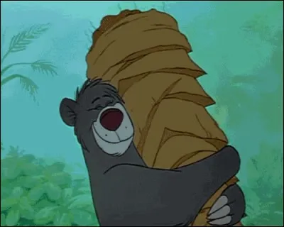 Quel est le nom de cet ours ?