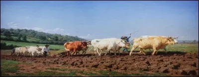 L'artiste peintre est Rosa Bonheur. 
Quel nom porte le tableau ici présenté, sachant que la scène se déroule en paysage d'une ancienne province de France ayant pour limites : au nord, l'Orléanais ; au sud, le Bourbonnais ; à l'ouest, le Berry ; à l'est, la Bourgogne ?