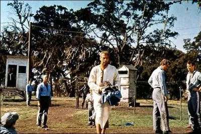 Quel est le titre de ce film ?