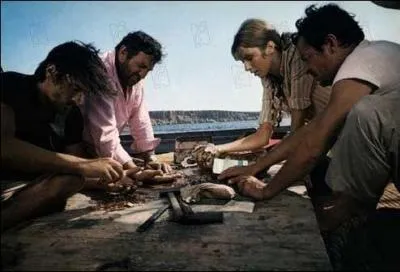 Quel est le titre de ce film ?