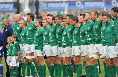 Quel mot désigne la partie cannelée d'un cylindre de laminoir ou la partie libre d'une dent de chien ?