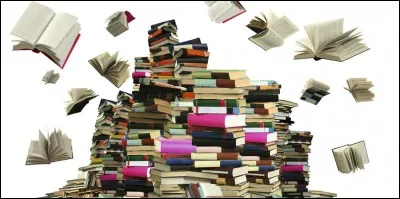 Quel est votre style de livre préféré ?