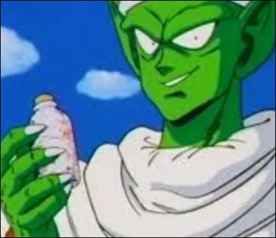 Comment appelle-t-on le fils de Piccolo dans ce tournoi ?