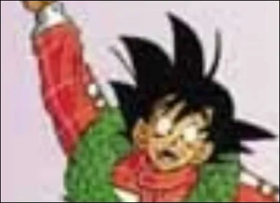 Sur la couverture du tome 22, Goku pilote...