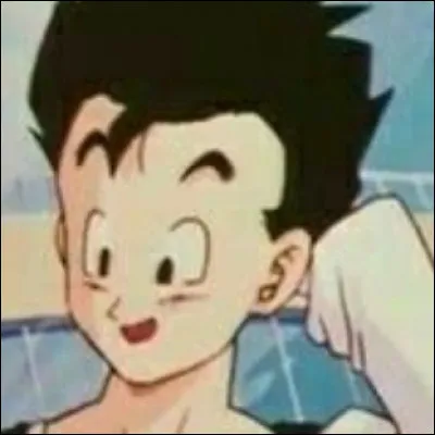 Gohan a environ 17 ans quand il entre au lycée...