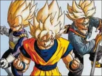 Quel est le titre du tome 29 ?