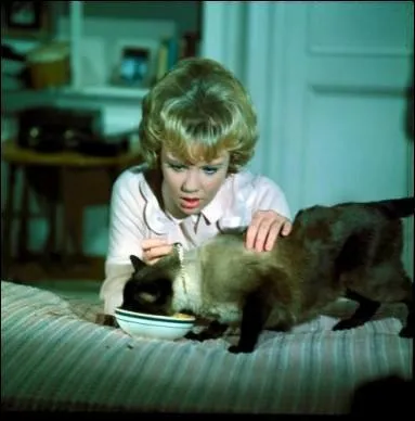 Quel est le titre de ce film ?