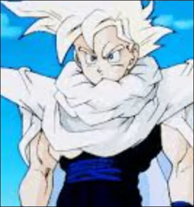 Qui offre une cape à Gohan ?