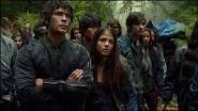 Quel est le genre de cette série ?