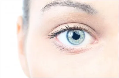 Quelle est la phrase correcte ?