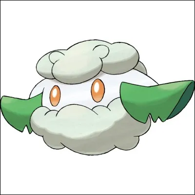 Quel est son nom anglais ?