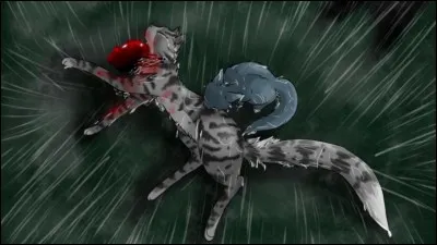 Trouve l'erreur : Le Mal Vert est une maladie contagieuse qui peut aveugler ou tuer un chat s'il n'est pas vite soigné, il est surtout présent lors de la mauvaise saison.