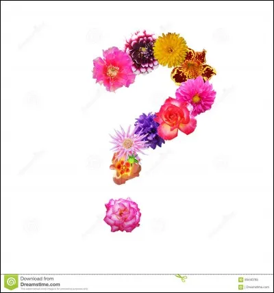 Chassez l'intrus parmi ces fleurs !