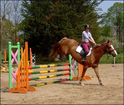 Quel est le nom de cet obstacle ?