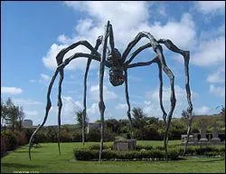 Dans mes oeuvres, l'araigne est la reprsentation de ma mre, amricaine d'origine franaise, je suis ...