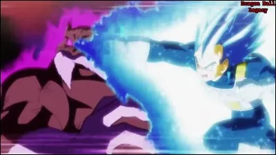 Comment Vegeta bat-il Toppo ?