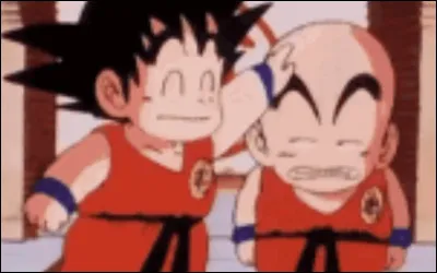 Qui est le plus vieux entre Goku et Krilin ?
