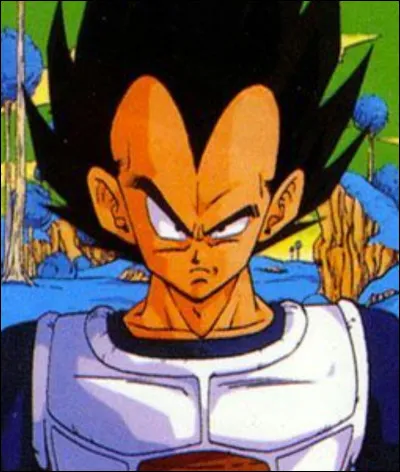 Vegeta aime sa planète.