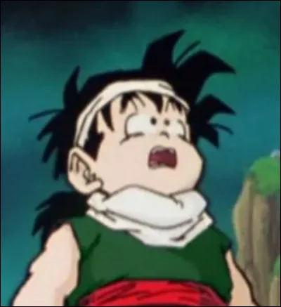 Qui doit surveiller Gohan pendant que Goku dans l'Autre Monde ?