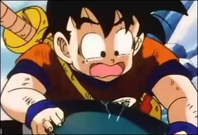 Qui est le premier ami de Gohan ?