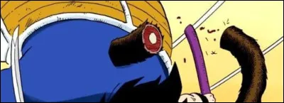 Qui coupe la queue de Vegeta ?