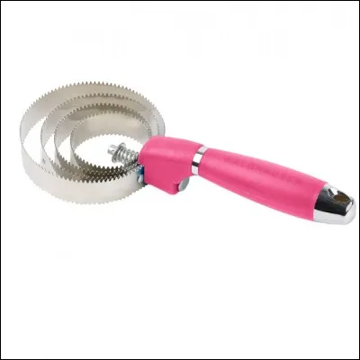 Comment nomme-t-on cette brosse ?