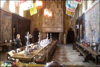 Qu'est-ce qu'une cyzicène ?